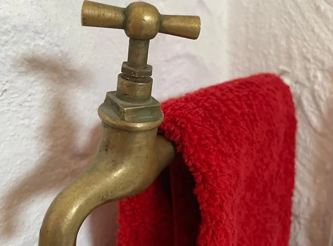 Monte Carrascal Landsted Salir